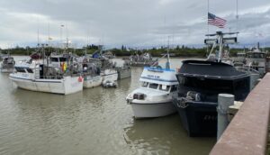 Bristol Bay's commercial salmon fishery valued at $2 billion in 2019
